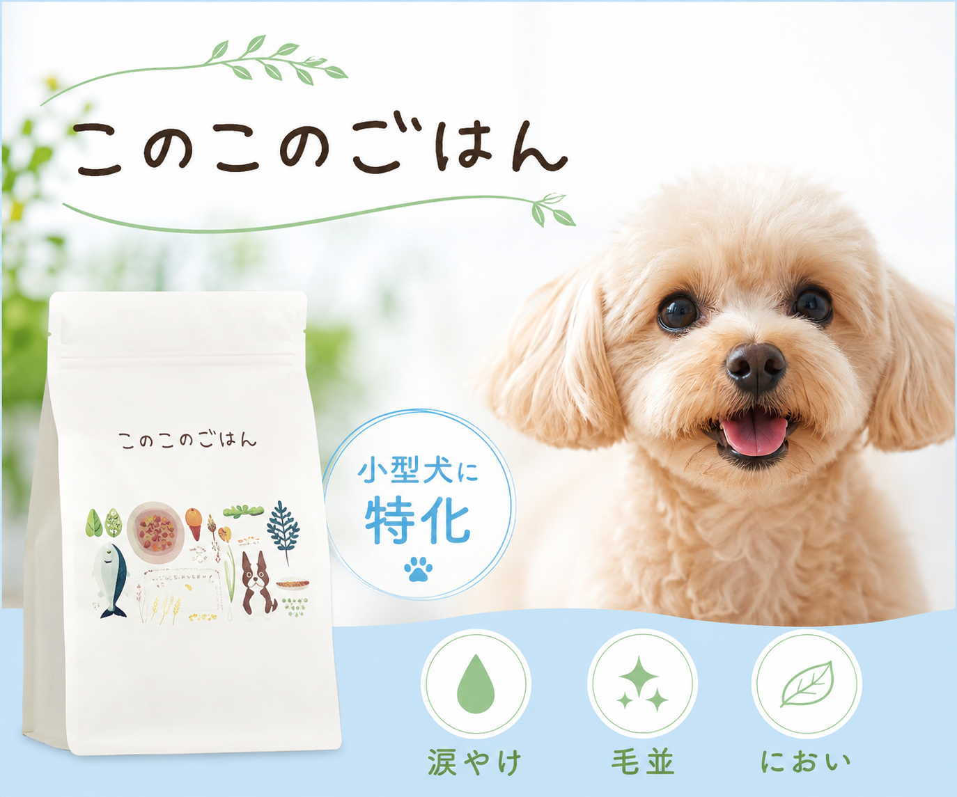 このこのごはん